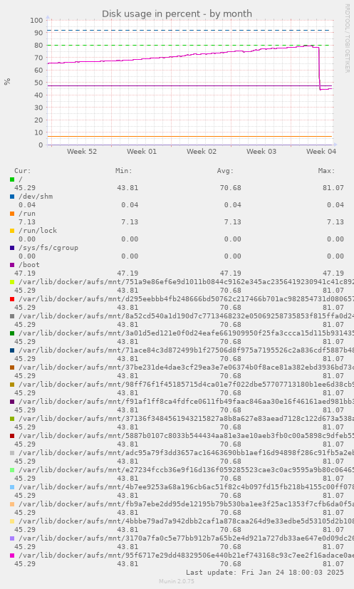 Disk usage in percent