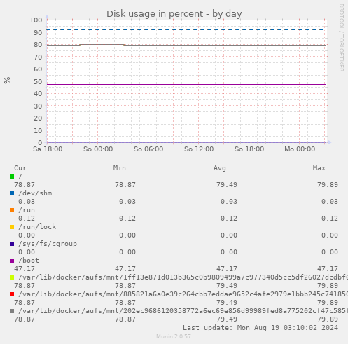 Disk usage in percent